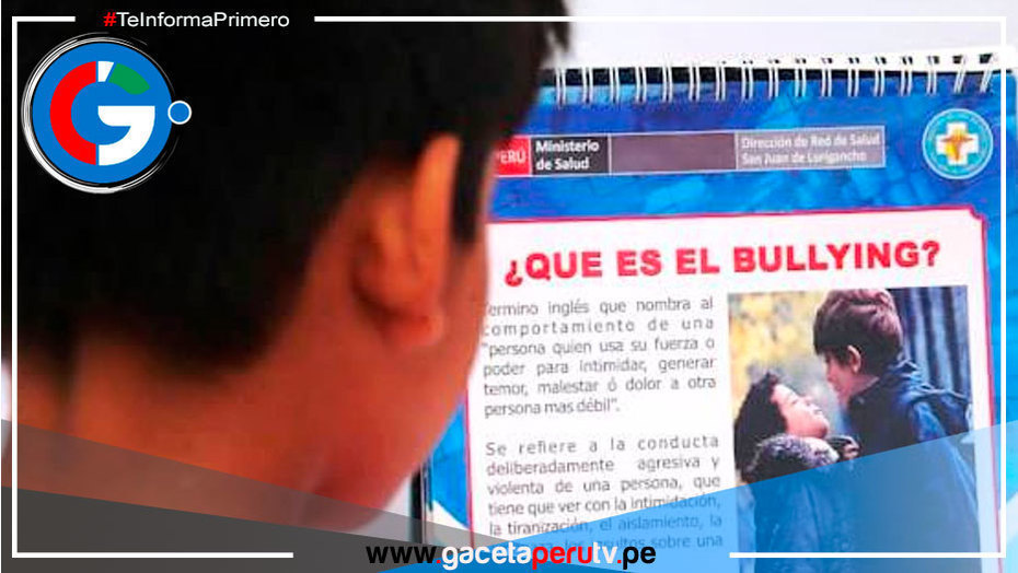 Especialistas explican cómo actuar frente a casos de bullying en menores