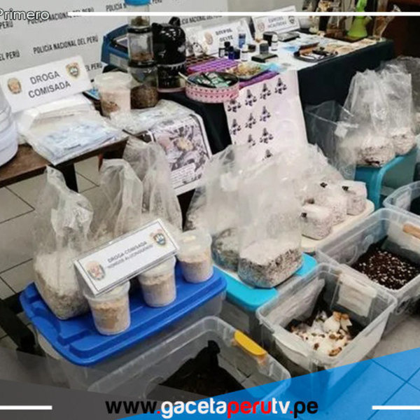 Caen "Los Pitufos del Callao" dedicada a la venta de drogas