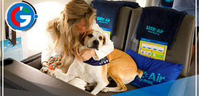 Bark Air: La aerolínea pet-friendly que revoluciona los viajes con mascotas
