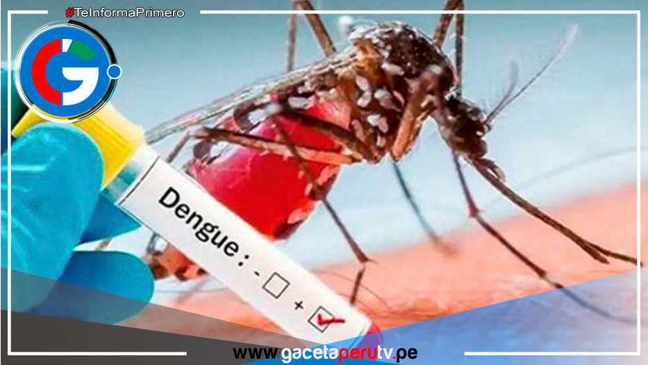 Arequipa: 10 casos autóctonos de dengue en lo que va del año