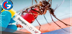 Arequipa: 10 casos autóctonos de dengue en lo que va del año 