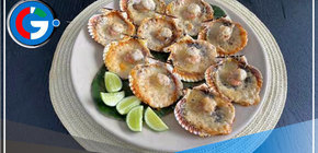 Aprende hacer unas deliciosas conchitas a la parmesana