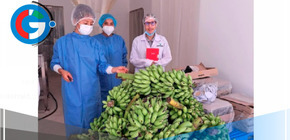 Innovación Nutricional contra la Anemia Infantil en Perú