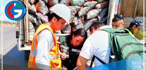 Piura: decomisan 25 toneladas de carbón de algarrobo