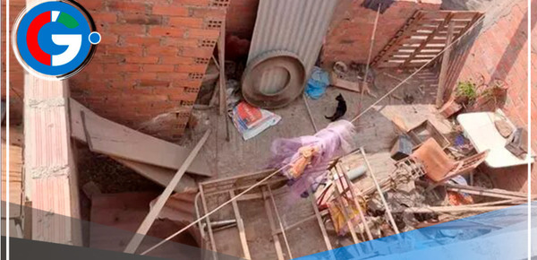 Vecinos denuncian crianza de gatos y perros en pésimas condiciones