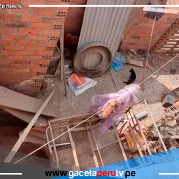 Vecinos denuncian crianza de gatos y perros en pésimas condiciones