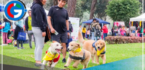 Caminata Huellas 4K: recaudando fondos para animales sin hogar