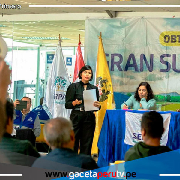 Rematarán 97 terrenos urbanos en Lima Metropolitana: conoce en qué distritos 