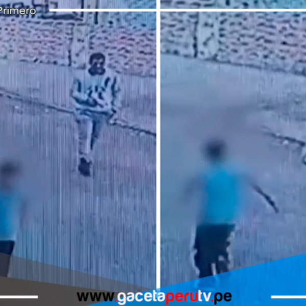 Escolar enfrentó a ladrón que le robó su celular en SMP