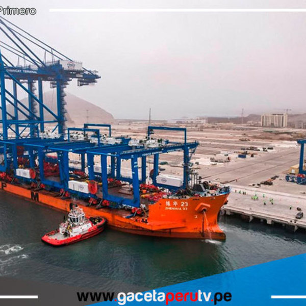 El puerto de Chancay necesitará profesional técnico calificado