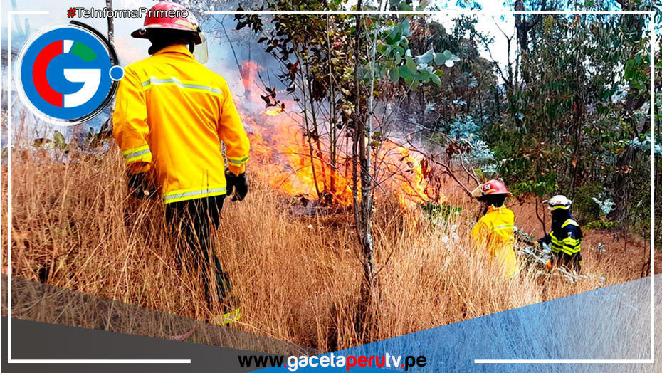 Cajamarca: región registra 31 incendios forestales en lo que va del año