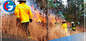 Cajamarca: región registra 31 incendios forestales en lo que va del año