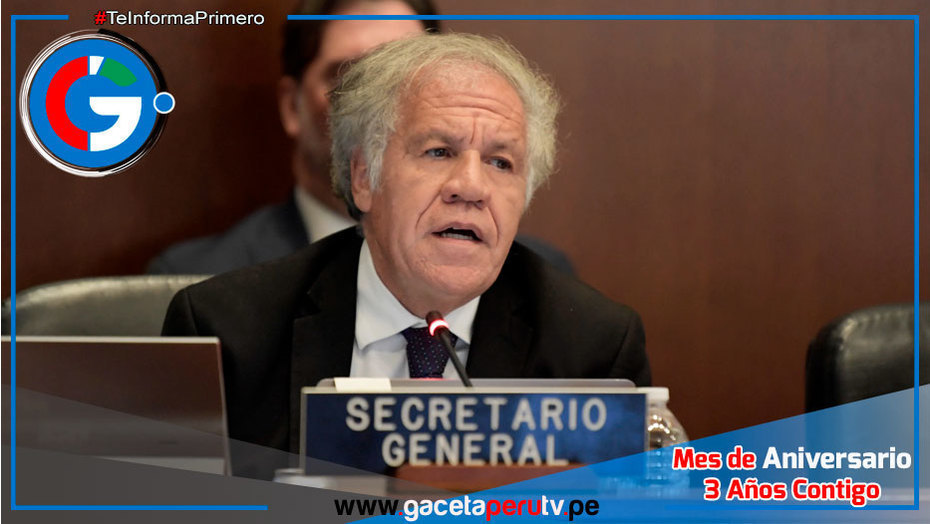 OEA Exige Verificación Urgente de Actas Electorales en Venezuela