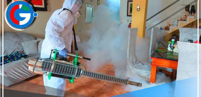  Alertan sobre propagación de roedores, arañas y pulgas