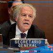 OEA Exige Verificación Urgente de Actas Electorales en Venezuela