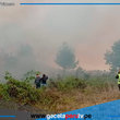 Más de 5000 hectáreas de bosques y pastizales afectados por los incendios en Amazonas 
