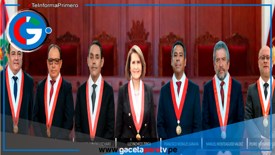 Luz Pacheco Zerga es la única mujer vicepresidenta del Tribunal Constitucional