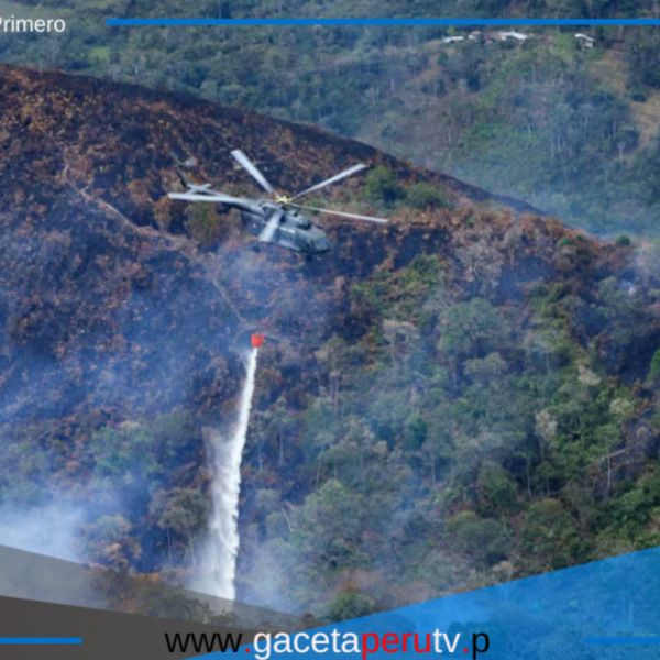 Tragedia en Perú: 15 muertos y miles de hectáreas devastadas por incendios forestales