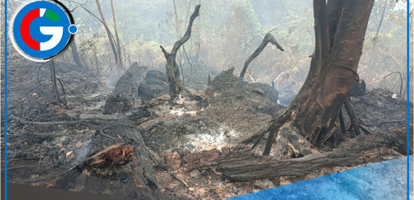 San José del Alto en alerta: siete incendios forestales llevan más de 20 días sin control