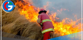 ¿Cómo se generan los incendios forestales y qué eventos naturales favorecen su propagación? 