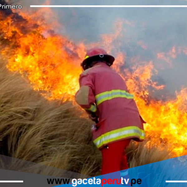 ¿Cómo se generan los incendios forestales y qué eventos naturales favorecen su propagación? 