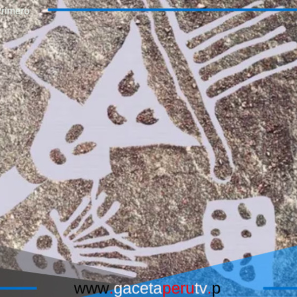 Descubren más de 300 nuevas figuras en las pampas de Nazca