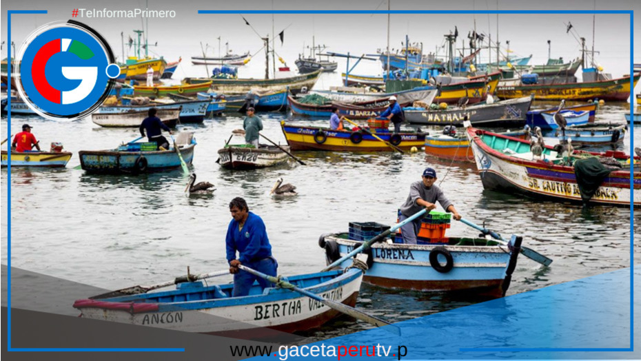 Ministerio de Defensa asegura monitoreo constante tras denuncias sobre embarcaciones chinas en el litoral