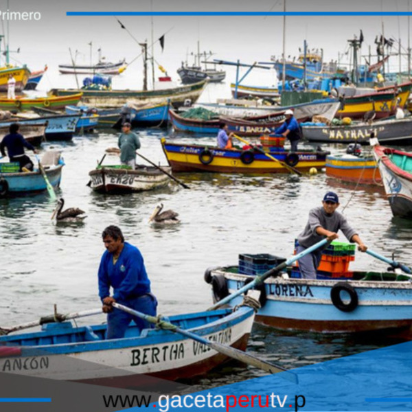 Ministerio de Defensa asegura monitoreo constante tras denuncias sobre embarcaciones chinas en el litoral