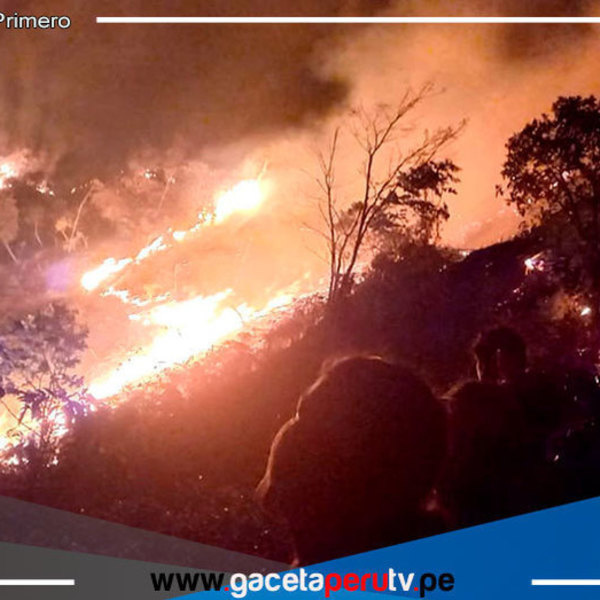 Cajamarca pide ser declarada en emergencia por daños por incendios forestales 