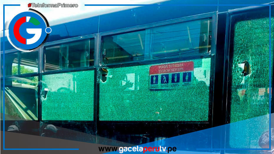 Actos vandálicos en terminales del Metropolitano generan preocupación ciudadana