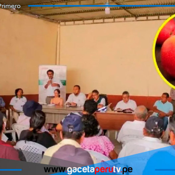 Productores de mango piden condonación total de sus deudas en Lambayeque