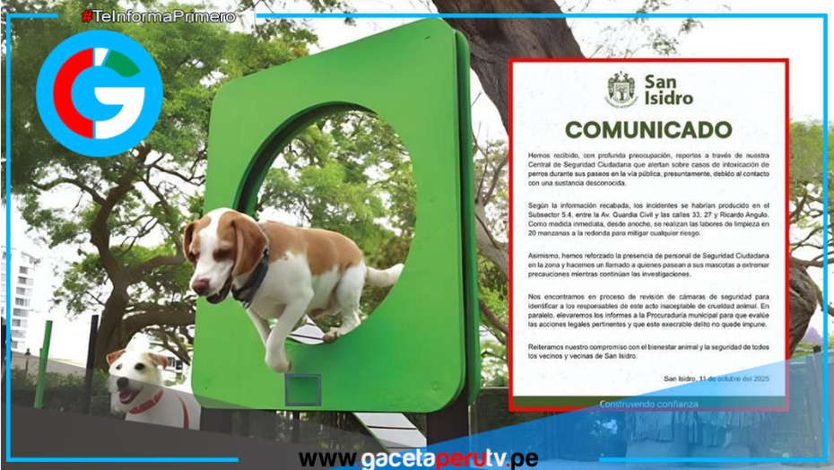 Vecinos de San Isidro denuncian envenenamiento de perros y piden justicia a las autoridades