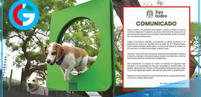 Vecinos de San Isidro denuncian envenenamiento de perros y piden justicia a las autoridades