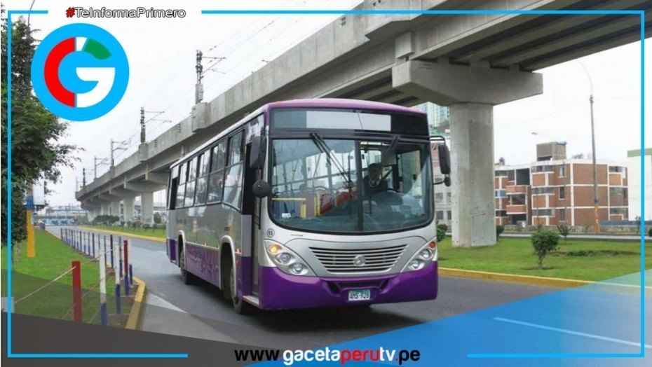 Corredor Morado analiza demanda contra la Municipalidad por retiro de carril