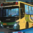 Bus de la empresa Vipusa fue atacado a balazos en plena ruta de San Juan