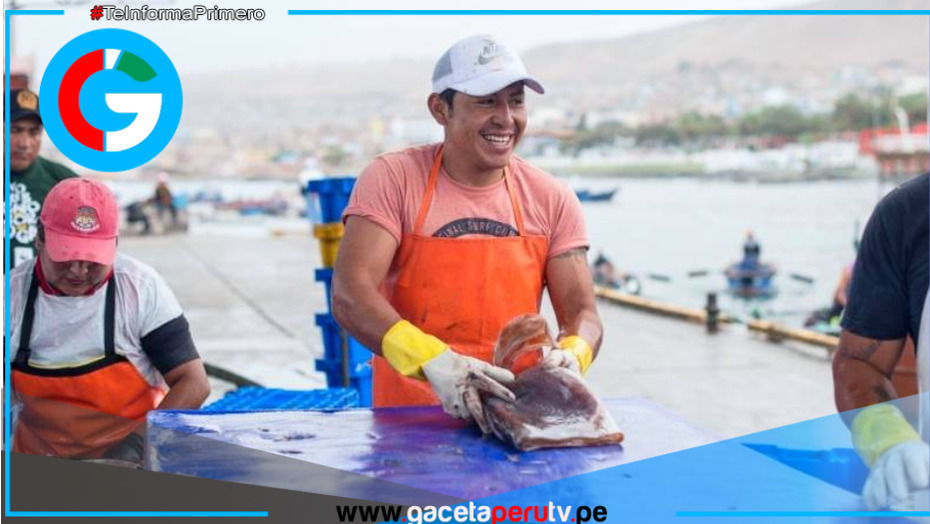 Ministerio de la Producción lanza créditos de hasta S/ 117 700 para pescadores artesanales