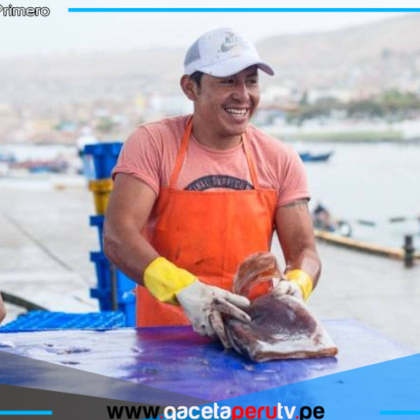 Ministerio de la Producción lanza créditos de hasta S/ 117 700 para pescadores artesanales