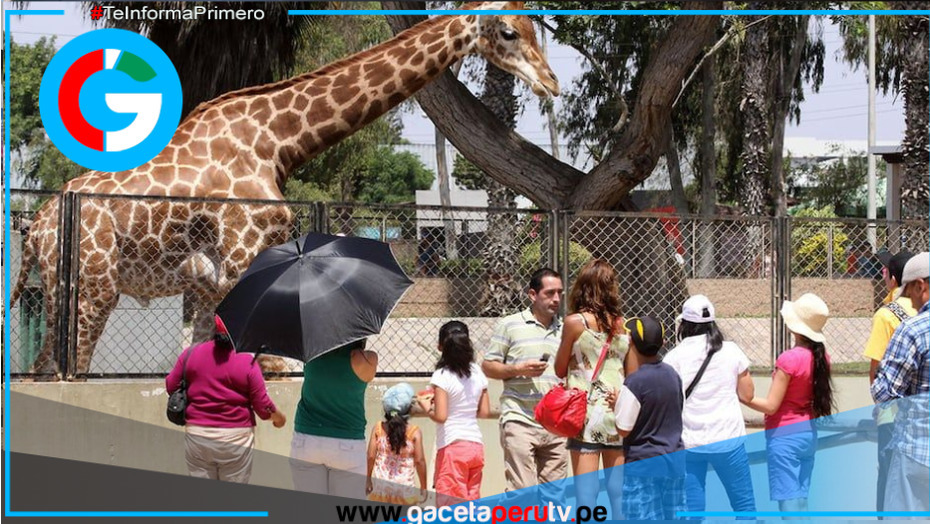 Proyecto de ley busca clausurar todos los zoológicos públicos en el Perú