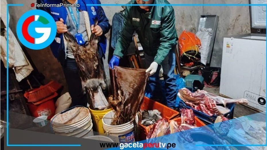PNP desmantela red que vendía carne adulterada en Trujillo