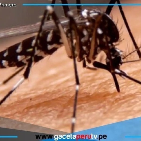 Dictan semana de lucha contra el dengue en todo el país
