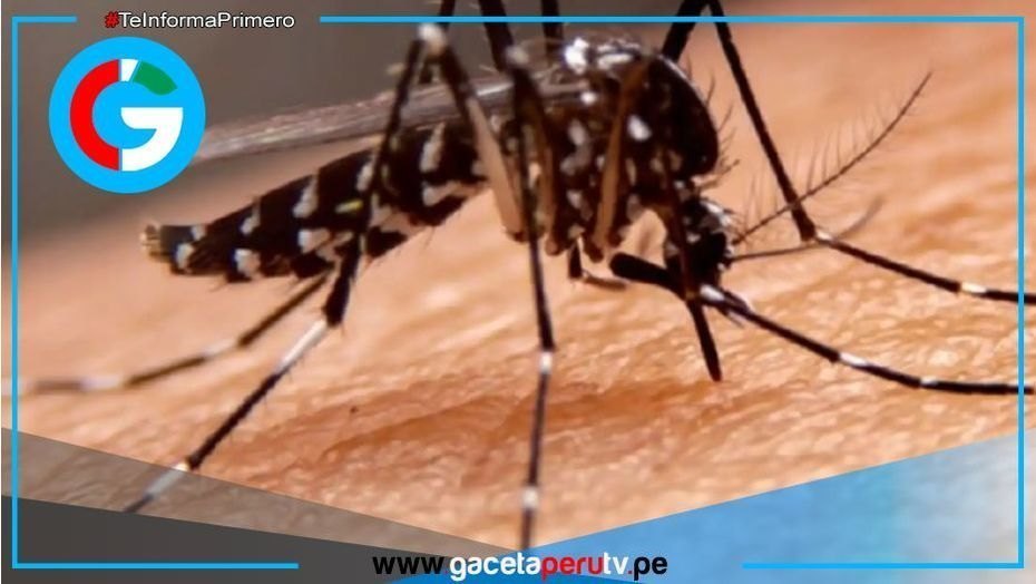Dictan semana de lucha contra el dengue en todo el país