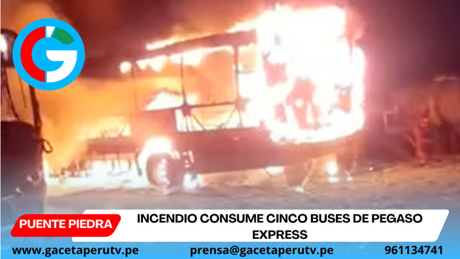 Incendio consume cinco buses de Pegaso Express