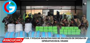 FF.AA. y Policía incautan más de 200 kilos de droga en operativo en el VRAEM