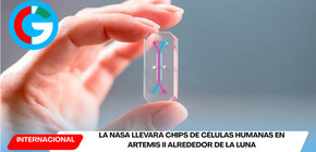 La NASA llevará chips de células humanas en Artemis II alrededor de la Luna