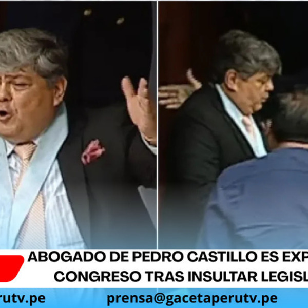 Abogado de Pedro Castillo es expulsado del Congreso tras insultar legisladores.