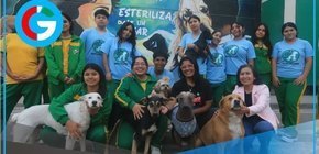Presentan proyecto de ley para enseñar tenencia responsable de mascotas