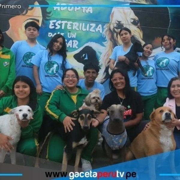 Presentan proyecto de ley para enseñar tenencia responsable de mascotas