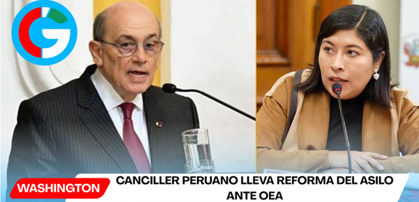 Canciller peruano lleva reforma del asilo ante OEA