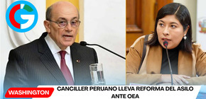 Canciller peruano lleva reforma del asilo ante OEA