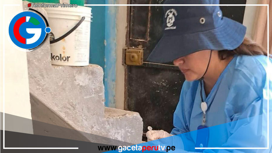 Realizarán más de 33 millones de intervenciones para prevenir el dengue en 2025